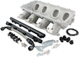 Low Rise EFI GM LS Base Intakemodular Manifold Cathedral Port Natural AF6079-5001 - Aeroflow
