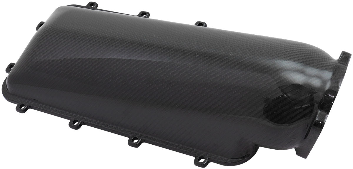 Carbon Top Plate Throttle Bodymodualr Intake Manifold LS AF6383-5001 - Aeroflow