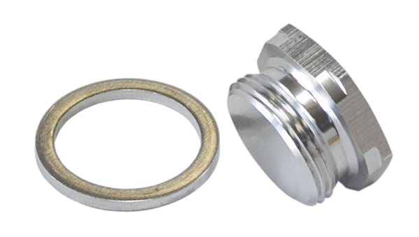 Holley Inlet Bowl Blank Plug Silver 7/8" x 20 Plug / Blank AF700-00S - Aeroflow