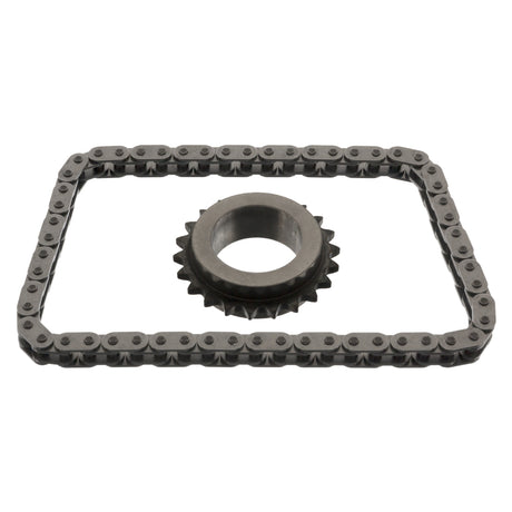 Peugeot EP2DT O/Pump Chain Kit APGTK12 - Austral | Universal Auto Spares