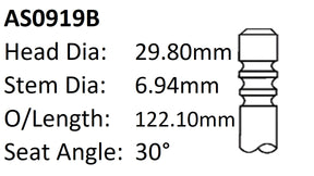Ford Ranger P5AT Int Valve AS0919B - Austral | Universal Auto Spares