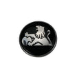 1 Pcs Wagon Tailgate Badge Fit For Holden Badge VP VR Bonnet BADGE-003 - Machter