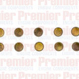 Welch Plug WELCH PLUG 29/64 BRASS CUP BC02964-10 - Premier