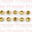 Welch Plug WELCH PLUG 14MM BRASS CUP BC14MM-10 - PREMIER