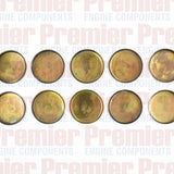 Welch Plug W/PLUG 2 SHALLOW BRASS CUP BC20S - 10 - Premier - Welch & Core Plugs - Premier