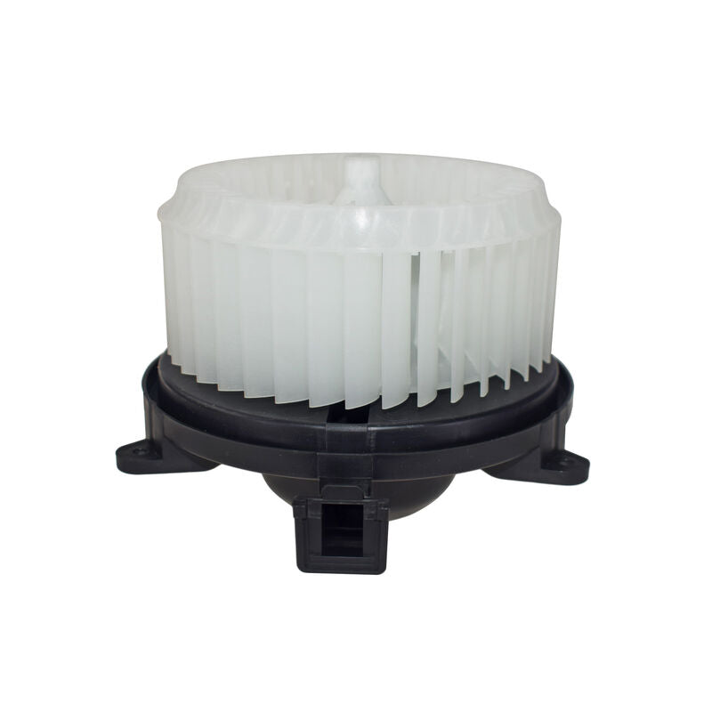A/C Heater Blower Motor Fan Cabin Fit For Foton Tunland P201 2.8L Diesel RHD 2012-ON BFMM-FT001 - Machter