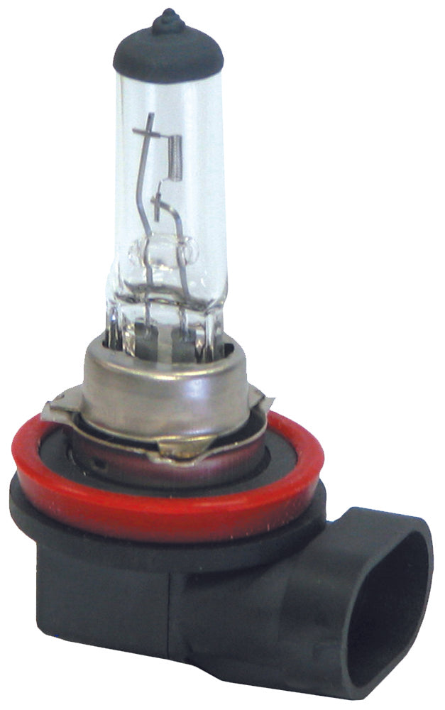 Headlamp Globes H11 55W Blister Pack Halogen BH11-55W - Motolite