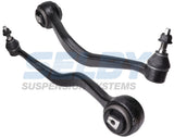 Caster Arm LH Fits Commodore VE 06-ON BJ3312L-ARM - Selby