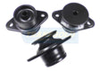 Body Mount Fits Toyota Hilux KUN25, 26/GGN15, 16 7/05-4/12 Xtra Cab Position 3 Upper BM0050- Transgold | Universal Auto Spares