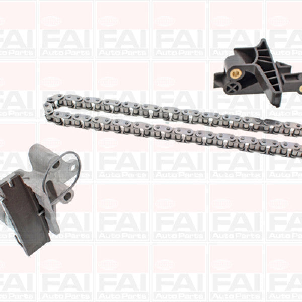 Timing Chain Kit BMW 2.0-3.0L DOHC 6CYL PETROL BMWTK04U - FAI