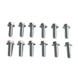 Holden Commodore VT-VF, LS1 LS2 LS3 L76 L77 L98 Lsa Extractor Header Bolt Kit - Machter