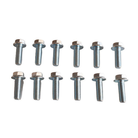 Holden Commodore VT-VF, LS1 LS2 LS3 L76 L77 L98 Lsa Extractor Header Bolt Kit BOLOT-HLN005 - Machter