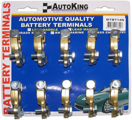 Battery Terminal Brass 2 Bolt 10 Piece - AUTOKING | Universal Auto Spares