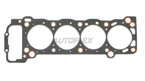 Head Gasket BW560 - AUTOFLEX