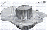 Peugeot Water Pump C147DZ - Austral | Universal Auto Spares