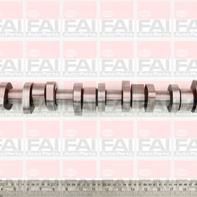 Camshaft VW BPE BPC BNZ SOHC 10V DIESEL C316 - FAI
