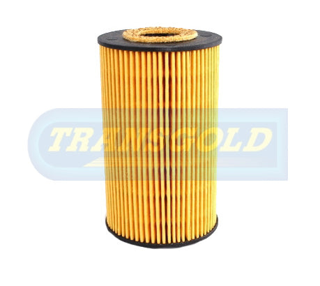 Cartridge Filters Fits BMW 316I, 318I, Z3 (96-04) CF2597 - Transgold | Universal Auto Spares