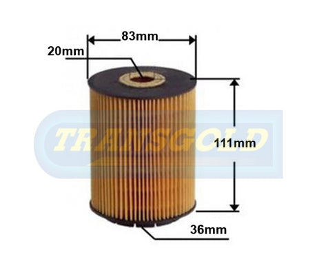 Cartridge Filters Fits Audi A8, S8, Volswagon Golf, Passat, Toureaj, Transport CF2613 - Transgold | Universal Auto Spares