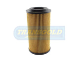 Cartridge Filters Fits Volkswagen Golf V, Audi A3 2003-On WCO22 CF2646 - Transgold | Universal Auto Spares