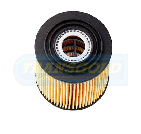 Cartridge Filters Fits Mini Cooper 04-06 WCO8 (R2647P) CF2647 - Transgold | Universal Auto Spares