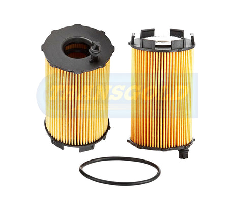 Cartridge Filters Fits Audi Various 06-15 R2874P CF2874 - Transgold | Universal Auto Spares