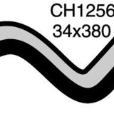 Hose - Bottom NISSAN 521 1.3 1.5L CH1256 - MACKAY