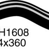Hose - Bottom HYUNDAI EXCEL 1.5L G4AJ CH1608 - MACKAY