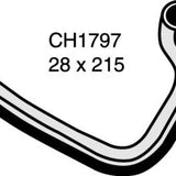 Hose - Bottom MAZDA 323 Astina 1.8L DOHC CH1797 - MACKAY