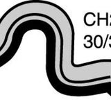 Hose - Top PEUGEOT 406 3.0L V6 CH2847 - MACKAY