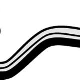 Hose - Bottom HONDA S2000 2.0L F20C CH4296 - MACKAY