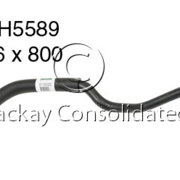 Hose - Bypass MAZDA LFDE DOHC 16V CH5589 - MACKAY
