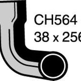 Hose - Bottom PEUGEOT 404 CH564 - MACKAY