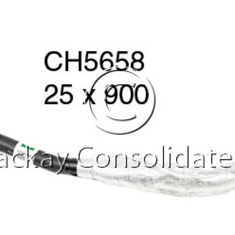 Hose - Top FORD 1.3L BL13EFI KA 11/99-03 CH5658 - MACKAY