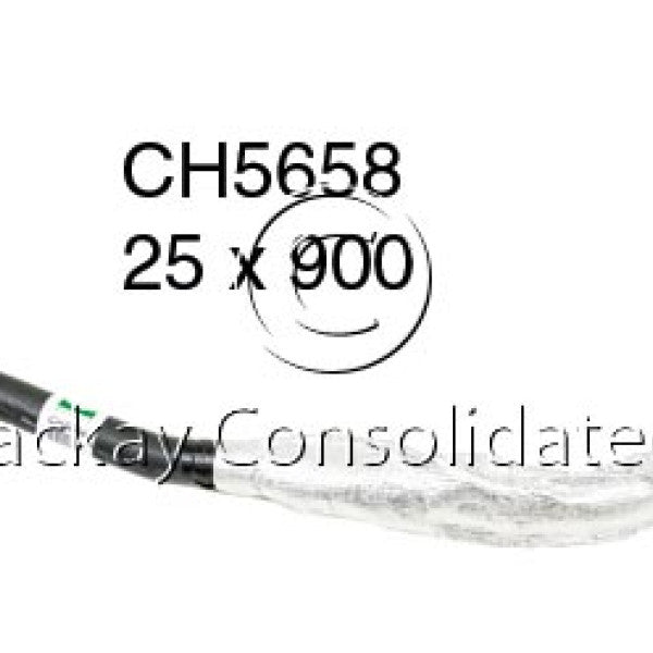 Hose - Top FORD 1.3L BL13EFI KA 11/99-03 CH5658 - MACKAY