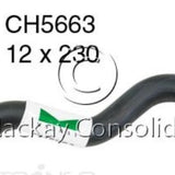 Hose - Vacuum FORD 5.4L BOSS & BARRA V8 CH5663 - MACKAY