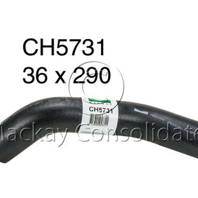 Hose - Bottom Toyota 3F 12V OHV CH5731 - MACKAY