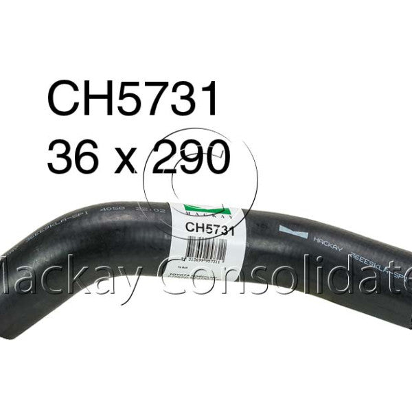 Hose - Bottom Toyota 3F 12V OHV CH5731 - MACKAY