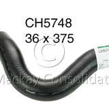 Hose - Bottom Subaru EJ25D 16V DOHC CH5748 - MACKAY - Radiator Hoses - MACKAY