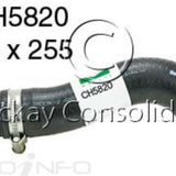 Hose - Top FORD 276DT V6 24V DOHC T/D CH5820 - MACKAY