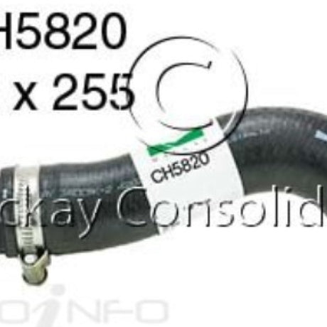 Hose - Top FORD 276DT V6 24V DOHC T/D CH5820 - MACKAY