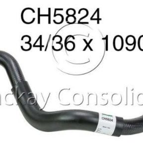 Hose - Bottom FORD 276DT V6 24V DOHC T/D CH5824 - MACKAY