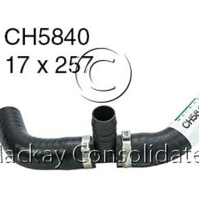 Hose - Bypass FORD 276DT V6 24V DOHC CH5840 - MACKAY