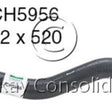 Hose - Bottom HYUNDAI LANTRA 1.8L CH5956 - MACKAY
