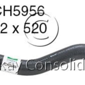 Hose - Bottom HYUNDAI LANTRA 1.8L CH5956 - MACKAY
