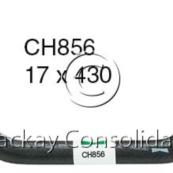 Hose - Bypass HOLDEN 308 V8 16V OHV CH856 - MACKAY
