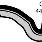 Hose - Bottom FORD Falcon/Fairlane 250cid CH966 - MACKAY