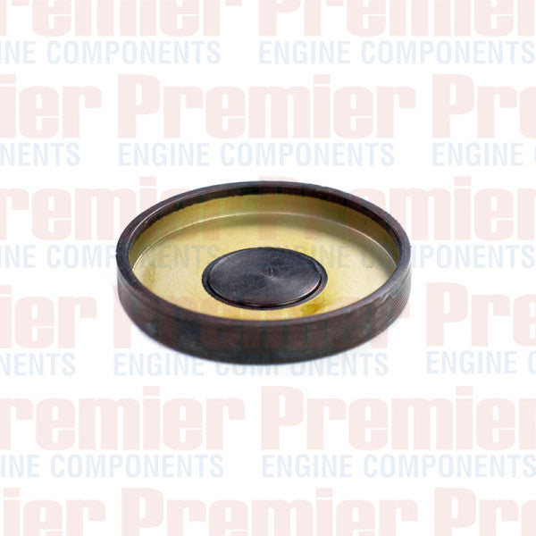 Camshaft Plug CAMSHAFT PLUG JEEP HOLDEN CSP1015 - NEP