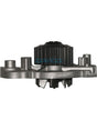 Water Pump - DP556 - DAYCO | Universal Auto Spares