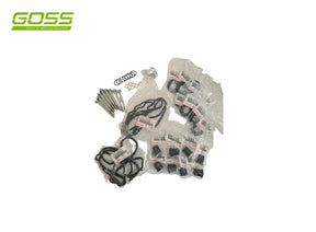 1VD 79/200 Series Seal Kit DSK003 - Goss
