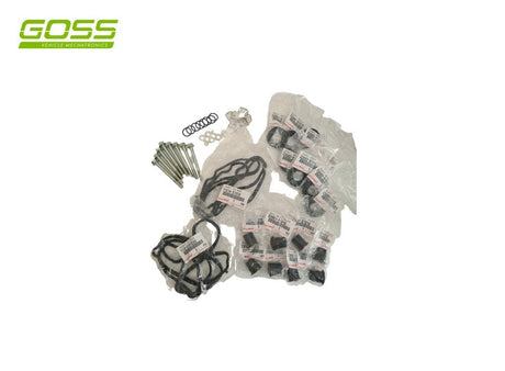 1VD 79/200 Series Seal Kit DSK003 - Goss
